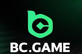 The Ultimate Guide to Betting with BC.Game App